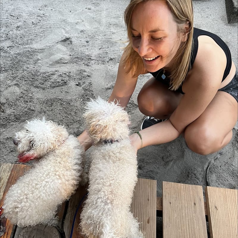 JJ crouching on the sand to greet two fluffy white poodles